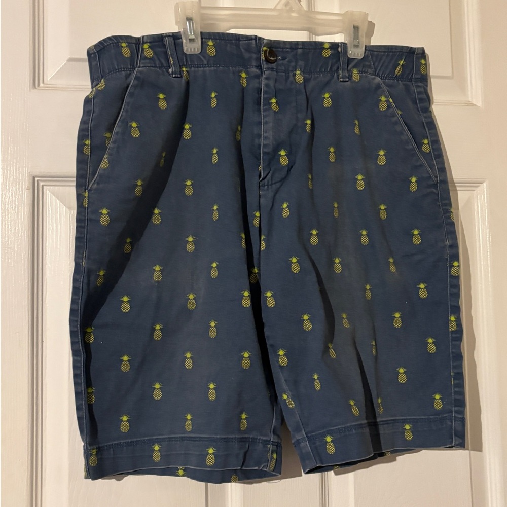 Plugg Flex Blue Pineapple Print Men's casual Shorts size 32